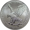 Buy Gold and Silver Coins | Gold Dealer | American Gold Exchange