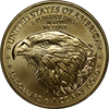 American Gold Eagles, BU Button Right